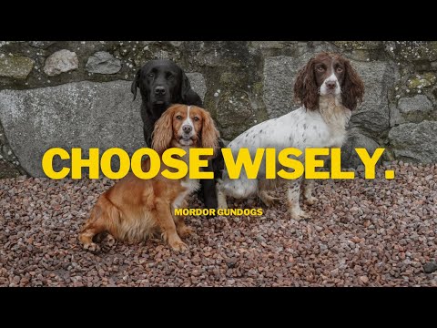 Видео: Как подобрать правильную породу, соответствующую вашему образу жизни, охоте и стрельбе
