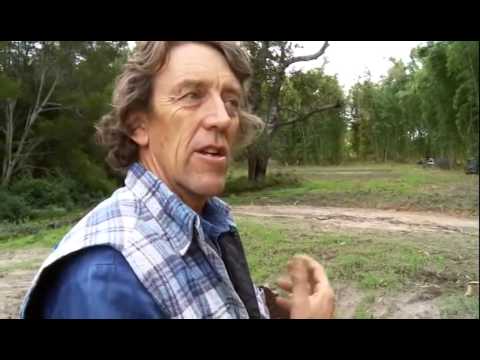 Видео: Пермакультурные почвы  Фильм Джеффа Лотона