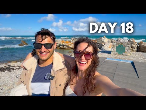 Видео: От Кейптауна до южной оконечности Африки! 🇿🇦 Мыс Игольный, Южная Африка