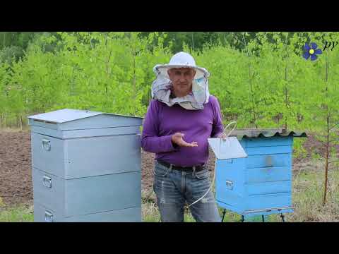 Видео: Обогреватели для пчел