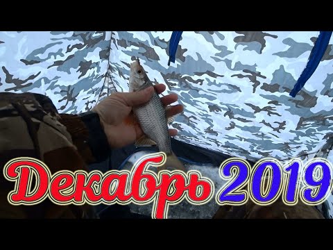 Видео: Зимняя рыбалка в декабре 2019