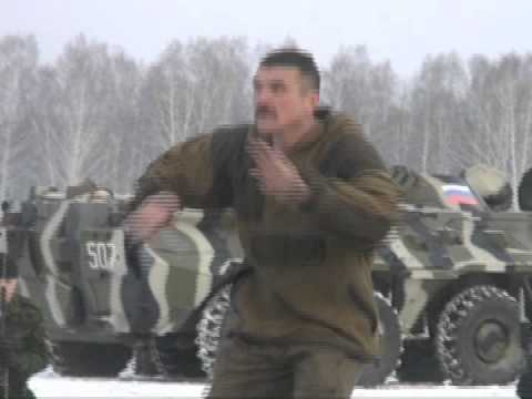 Видео: Полосатая натура