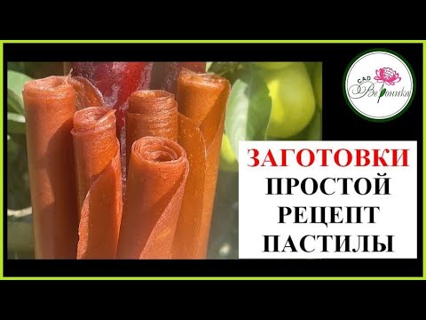 Видео: ПАСТИЛА ИЗ ЯБЛОК. ПРОСТОЙ РЕЦЕПТ