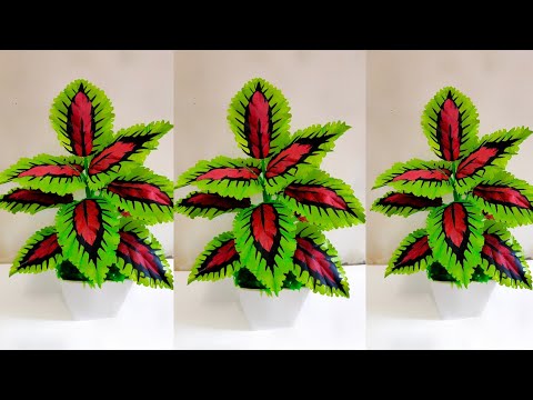 Видео: Как сделать растение миана из полиэтиленового пакета »вики полезно Идеи Цветочных Ремесел