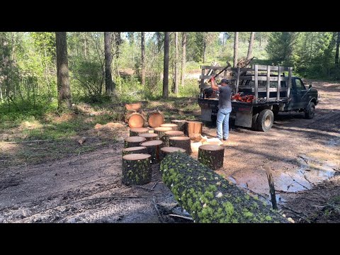 Видео: Заготовка дров | PNW | MTN Life
