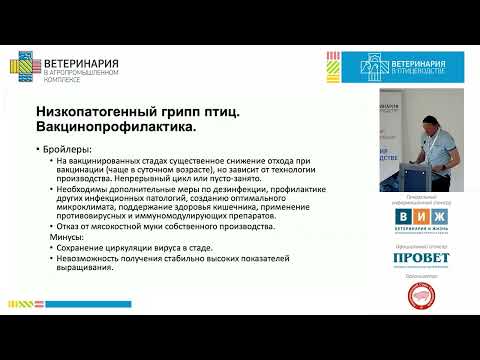 Видео: КРОХИН Н. Л. Грипп птиц - вакцинировать или уничтожить?