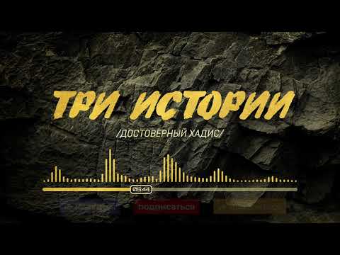 Видео: Три истории | Достоверный хадис | Ильдар Аляутдинов