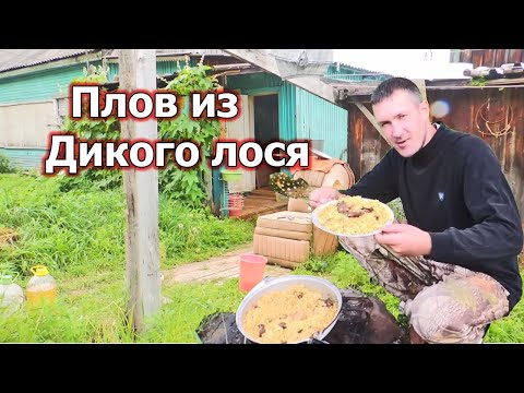 Видео: Плов из дикого лося на костре в казане! Рецепт от Семь Перцев!