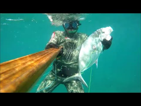 Видео: ПОДВОДНАЯ ОХОТА ТАИЛАНД! ОГРОМНЫЙ КАРАНКС !ЗИМА 2019Г.