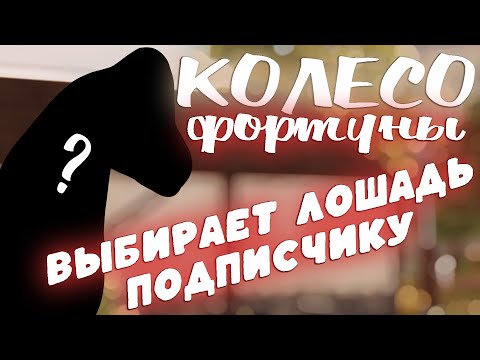 Видео: КОЛЕСО ФОРТУНЫ ВЫБИРАЕТ ЛОШАДЬ ПОДПИСЧИКУ #2 | STAR STABLE