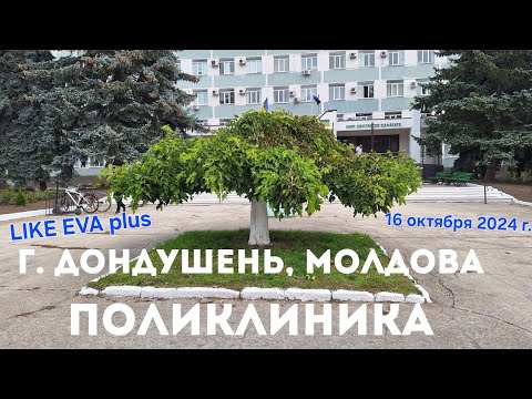 Видео: Наша поликлиника на LIKE EVA plus