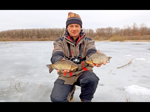 Видео: КРУПНИЙ КАРАСЬ У БЕРЕЗНІ В ДЖУНГЛЯХ ВЕРБОЛОЗУ!!! Карасі Кабани на мормишку з криги