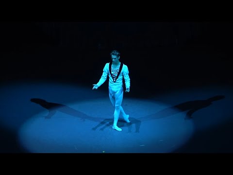 Видео: Анна Никулина, Макар Михалкин (дебют), Владислав Лантратов - Финал | Лебединое озеро 19.09.2024