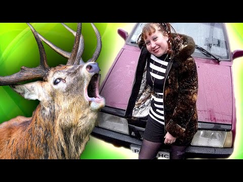 Видео: СОДЕРЖАНКИ ищут АЛЕНЕЙ - [ ОБЕСПЕЧИВАЙ меня ПОЛНОСТЬЮ ]