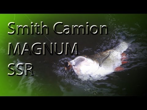 Видео: Голавль, способ проводки - апстрим. | Smith Camion MAGNUM SSR
