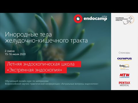 Видео: Endocamp 2020-2021. Вторая смена "Инородные тела желудочно-кишечного тракта" (день 1)