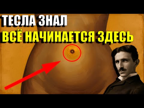 Видео: Пупок — место, где Вселенная дышит через тебя I Секрет Теслы