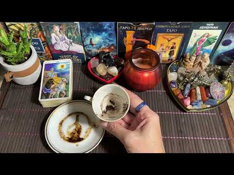 Видео: Чашка дня‼️