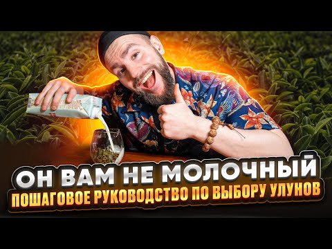 Видео: Улун НЕ только молочный. Какие бывают улуны? Зеленый, черный и габа улун |Китайский чай