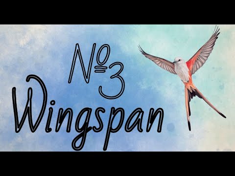 Видео: Wingspan (Крылья) №3