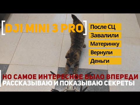 Видео: Dji Mini 3 Pro после другой мастерской труп, не работает подвес, ошибка при калибровке