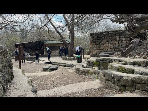 Видео: Радио 70%: чай, друзы (разогрев)