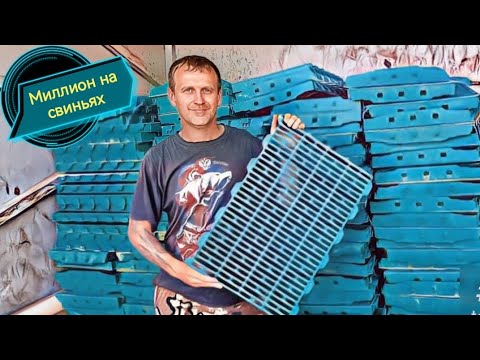 Видео: ‼️Потратил 500 000 рублей на свиней‼️