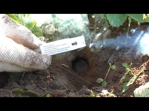 Видео: Проверяем средство от кротов Дымовые шашки We check the remedy for moles Smoke bombs