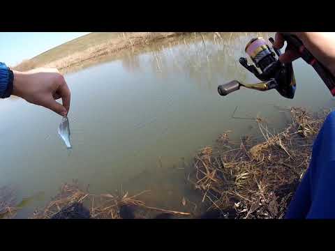 Видео: Мормышинг, уклейка, красноперка