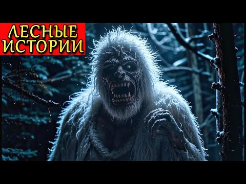 Видео: ЛЕСНЫЕ ИСТОРИИ. Страшные Истории ПРО ЛЕС (2в1)