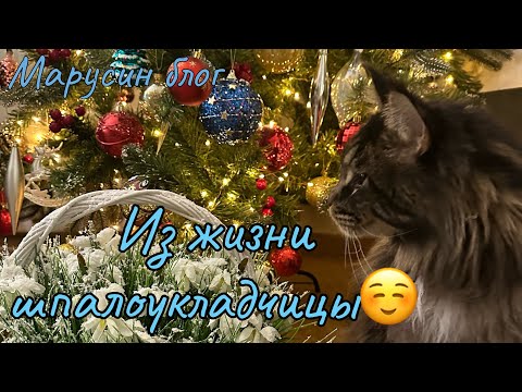 Видео: Наряжаем ёлку | Ночной шопинг | Пеку торт на стриме | Влоги