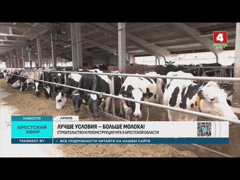 Видео: ЛУЧШЕ УСЛОВИЯ – БОЛЬШЕ МОЛОКА!