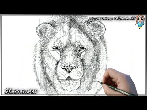 Видео: Как нарисовать Симбу взрослого карандашом шаг за шагом. Король лев 2019 год