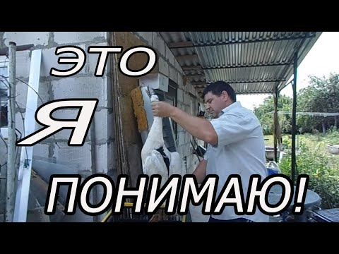 Видео: ШОК! СКОЛЬКО Я ЗАРАБОТАЛ НА УТКАХ! Кормление, поение, содержание!