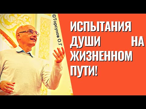 Видео: Испытания души на жизненном пути! Торсунов лекции