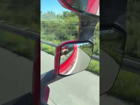 Видео: 11 августа 2025 г.