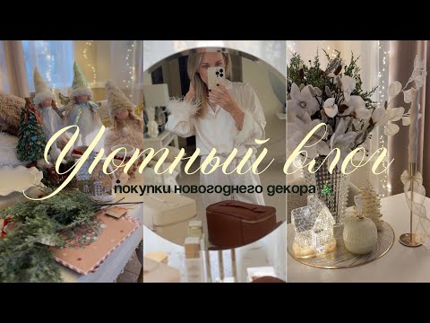 Видео: уютный влог 🧸🎄🕯️ навожу порядок дома и разбираю первые покупки новогоднего декора