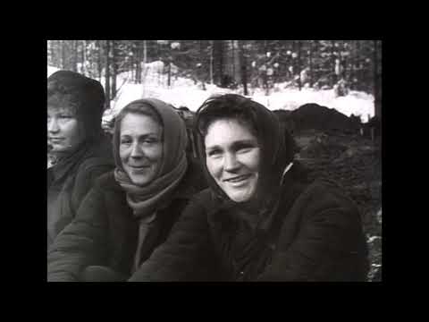 Видео: Весна 1962 год