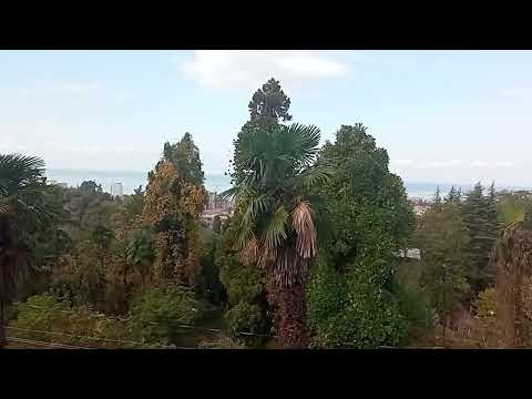 Видео: ДАЧА НИКОЛАЯ РОМАНОВА В МАХИНДЖАУРИ.  ГРУЗИЯ .