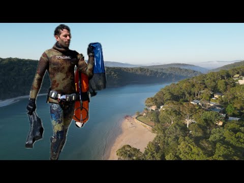 Видео: Подводная охота в устье реки в Эдеме, Новый Южный Уэльс