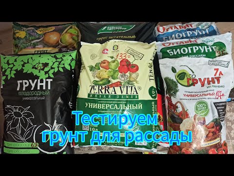 Видео: Выбираем и тестируем грунт для рассады.