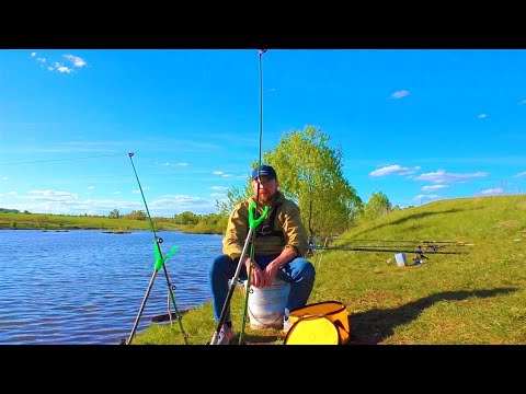 Видео: Хороший клёв. Рыбалка на донки.