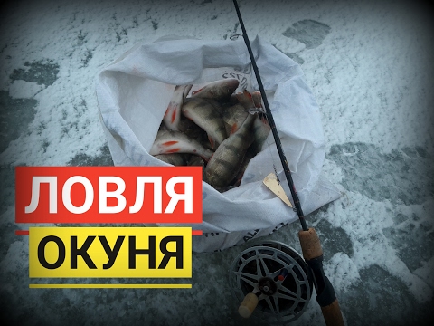 Видео: ЧТО такое ПЯРНУСКИЙ КОМБАЙН? ♦ КАК поймать МЕШОК ОКУНЯ? ♦ Ahvenapüük PÄRNU KOMBAINIGA