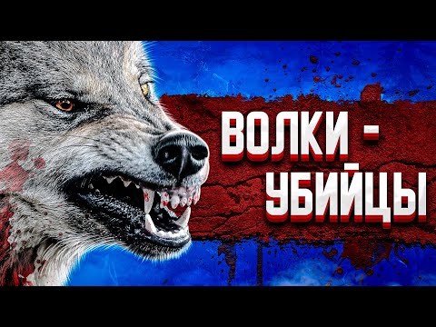 Видео: ВОЛКИ - УБИЙЦЫ ➤ DAYS GONE #2