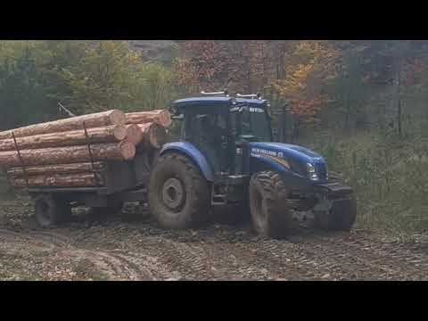 Видео: КАКОЙ НАИВНЫЙ ВОДИТЕЛЬ 🤯