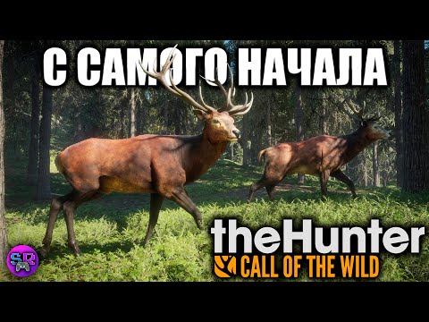 Видео: ВЫХОДИМ ИЗ СИНЕЙ БЕЗДНЫ  НА ОХОТУ ► theHunter: Call of the Wild [СТРИМ 1]