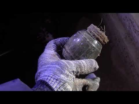 Видео: Что нашли на чердаке и в погребе | Кошелёк в погребе на небольшой глубине