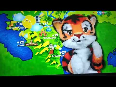 Видео: Погода на канале карусель эфир от 24.10.18