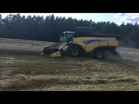 Видео: Уборка урожая 2019 комбайнами New Holland CX840, Deutz Fahr 4065, 4075, 4080