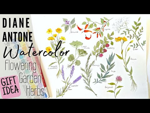 Видео: Расслабьтесь и рисуйте травы для начинающих | Урок по рисованию цветов акварелью на кухне с Gallo...